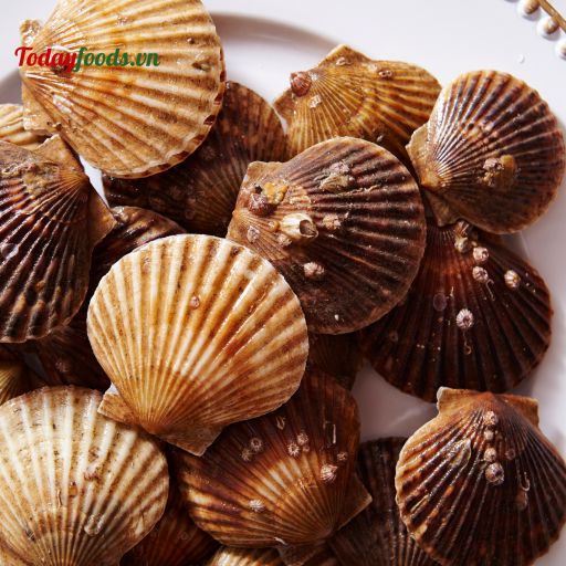 Món Ăn Phổ Biến Từ Sò Điệp