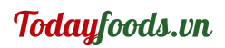 logo TODAYFOOD.VN