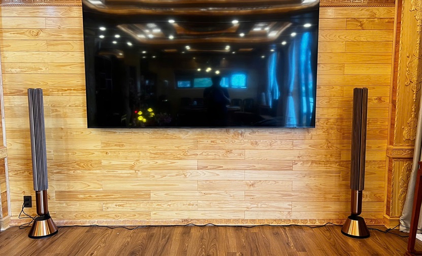 Loa B&O Beolab 28 Tuyệt Tác Âm Thanh Trị Giá Trên 400 Triệu Đồng