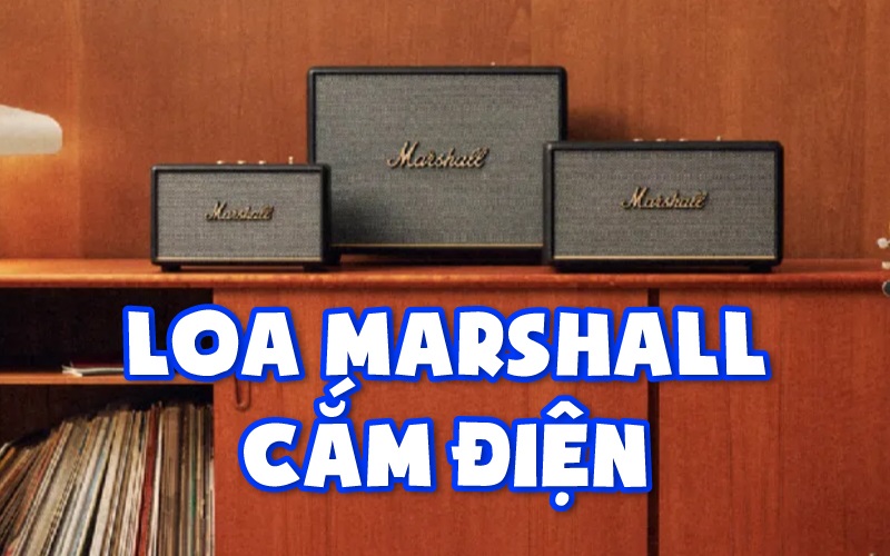 Top loa Marshall cắm điện tốt nhất trên thị trường 2024