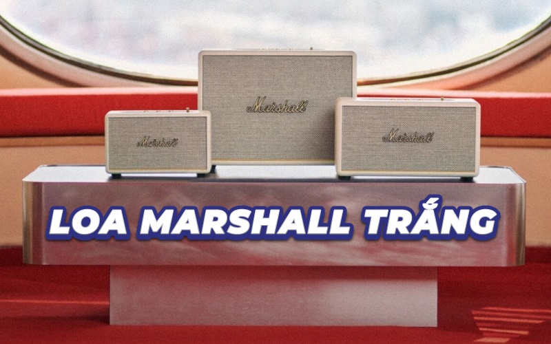 Tổng hợp 6 loa Marshall trắng hot nhất thị trường 2025