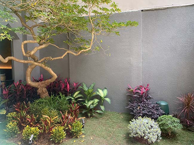 Hoàn thiện công trình lắp đặt hệ thống loa âm trần và loa sân vườn