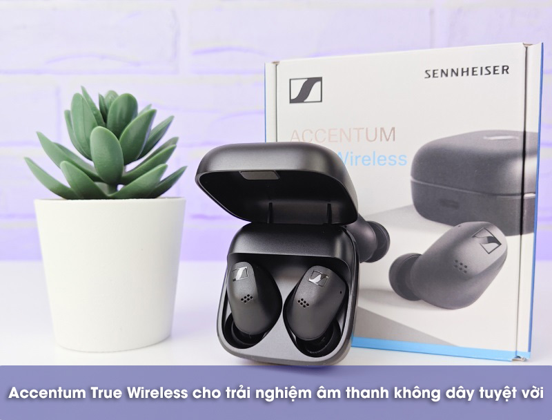 accentum true wireless 