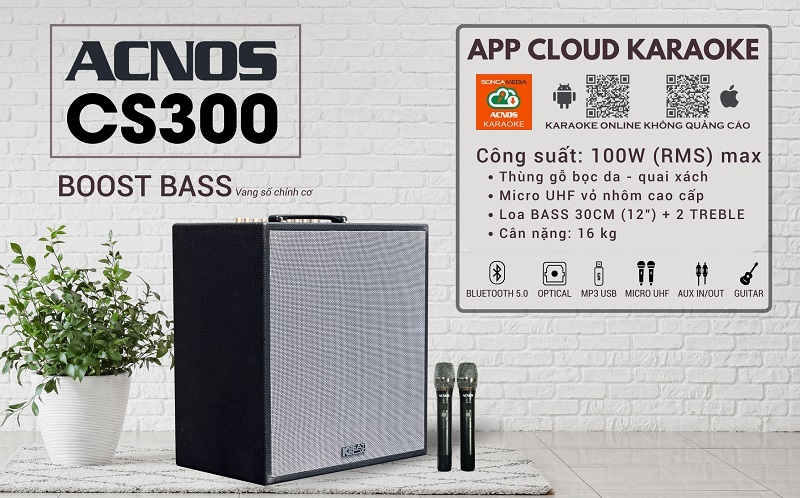 Loa Acnos CS300 tích hợp vang số chỉnh cơ