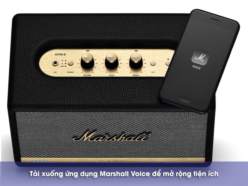 acton 2 alexa ứng dụng