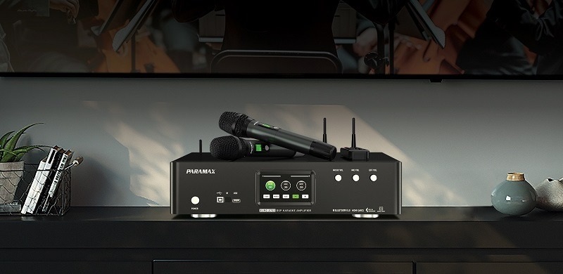 amply paramax euro a700