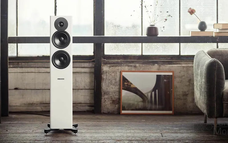 Dynaudio Evoke 30 màu sắc tối giản