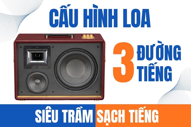 cấu hình loa d'auris 500