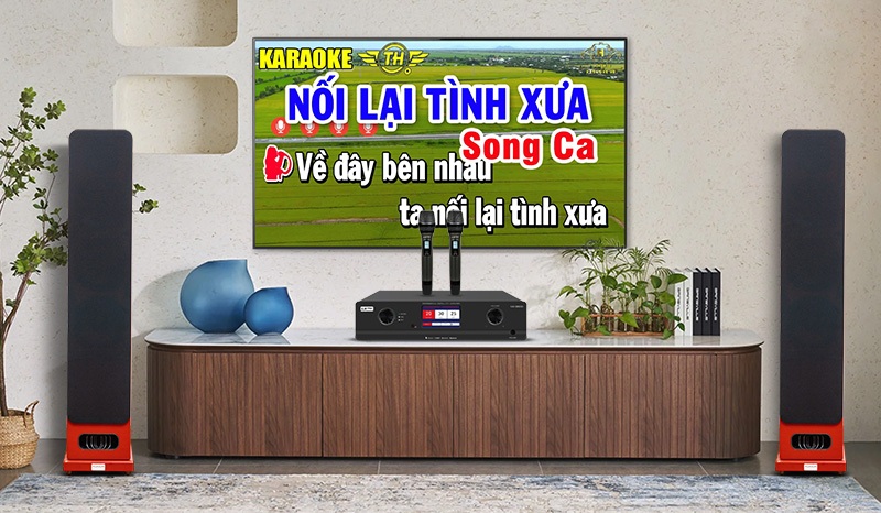 combo karaoke lavip 5