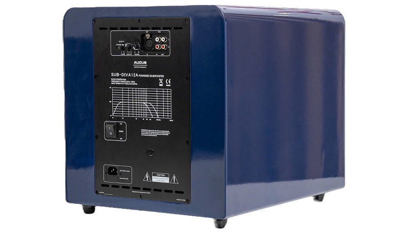 cổng kết nối của sub aucus diva 12a