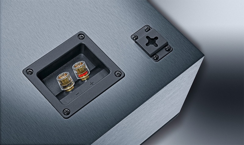 cổng kết nối loa lcr 100-thx