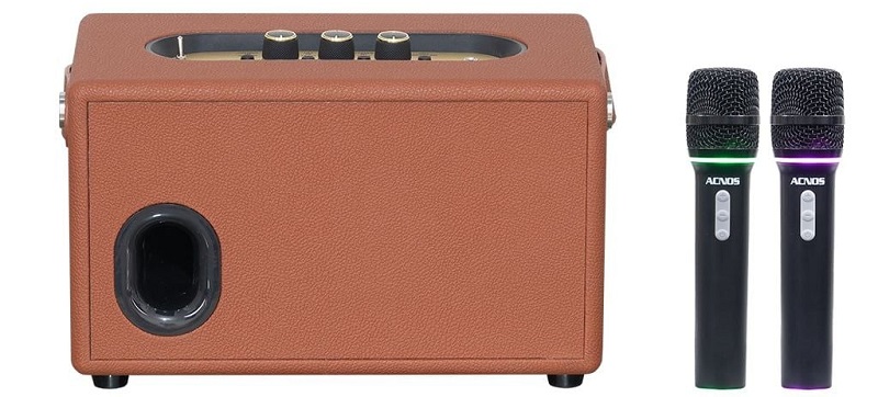 cổng kết nối trên loa acnos s60