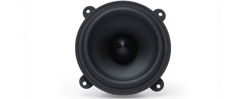 củ loa midrange trên loa footprint02