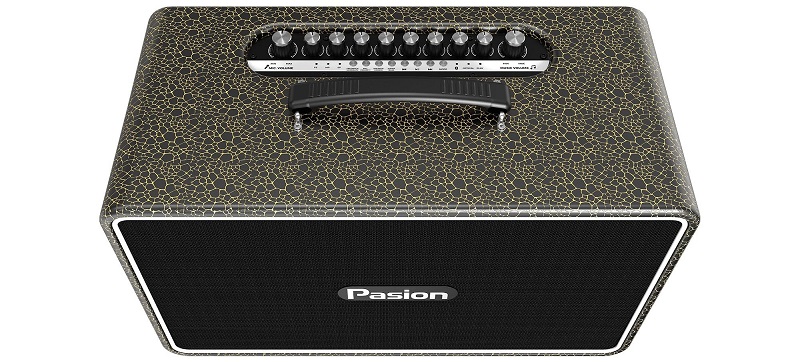 điều khiển loa pasion arte