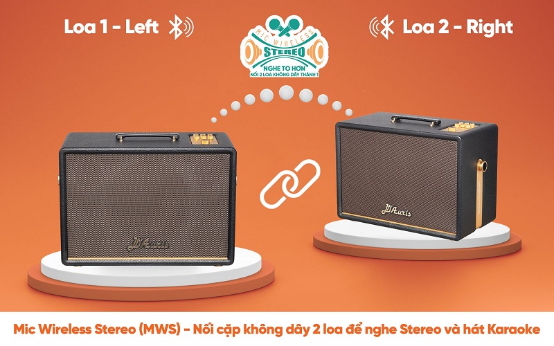 ghép đôi 2 loa d auris 300