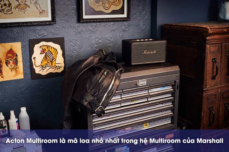 giá loa acton multiroom