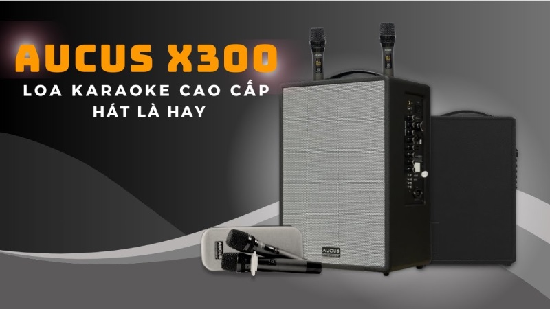 giá loa aucus x300