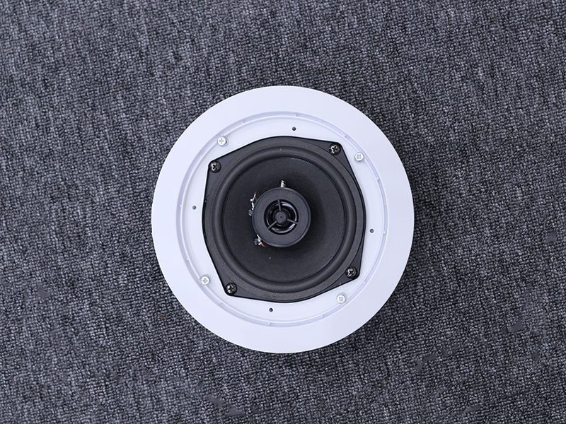 Cấu trúc âm thanh loa ITC C-610W