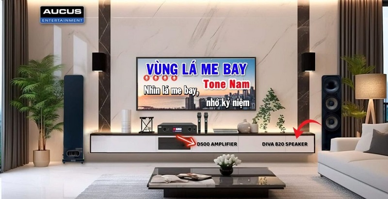 kết nối amply aucus d500