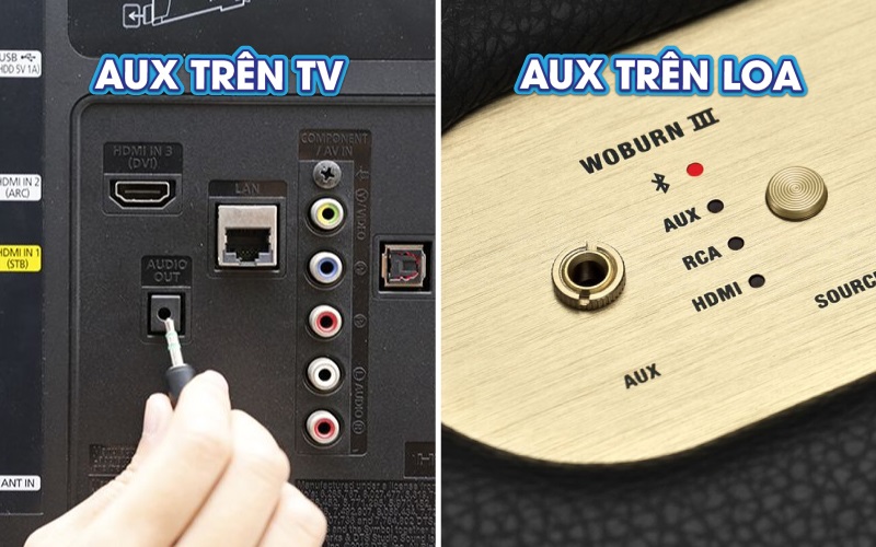 kết nối loa marshall với tv qua aux