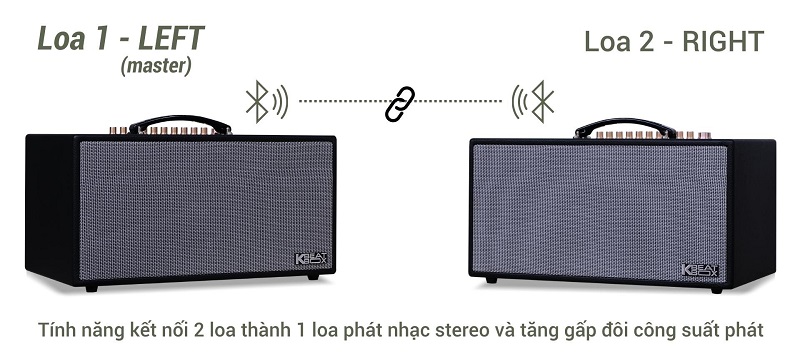 Loa Acnos CS450SR tính năng