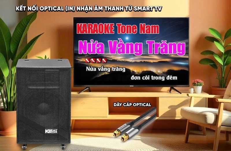 loa acnos kb39neo kết nối tv