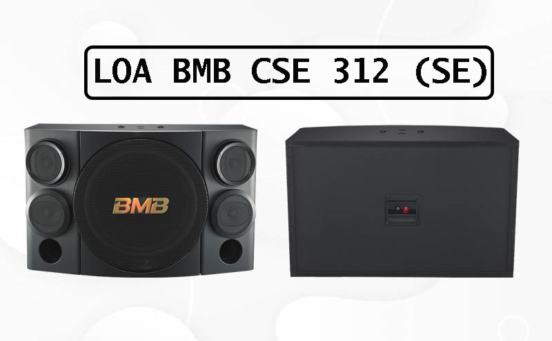  Loa BMB CSE 312 (SE)