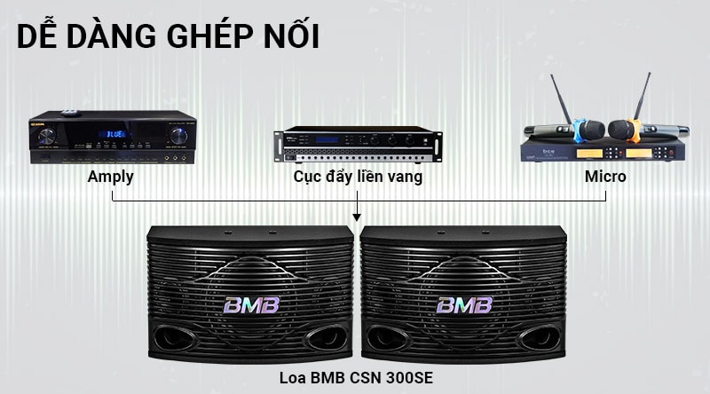  Loa BMB CSN 300 (SE)