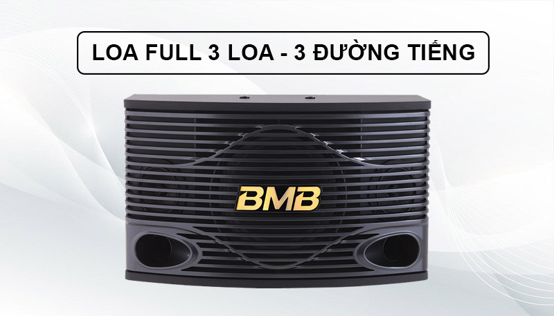  Loa BMB CSN 300 (SE)