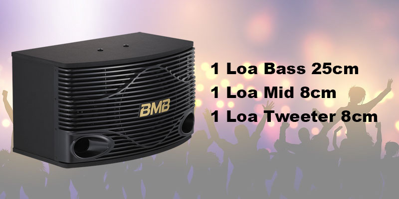  Loa BMB CSN 500 (SE)