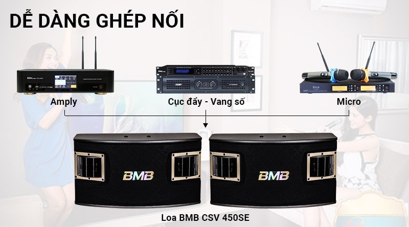 Loa BMB CSV 450 (SE)