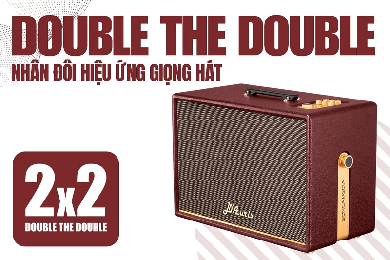 loa d'auris 500 double chip