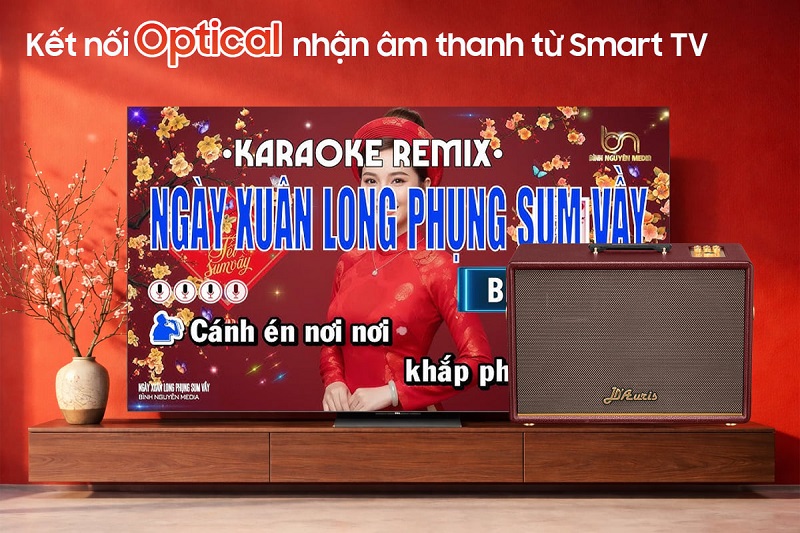 loa d'auris 500 kết nối tv qua optical