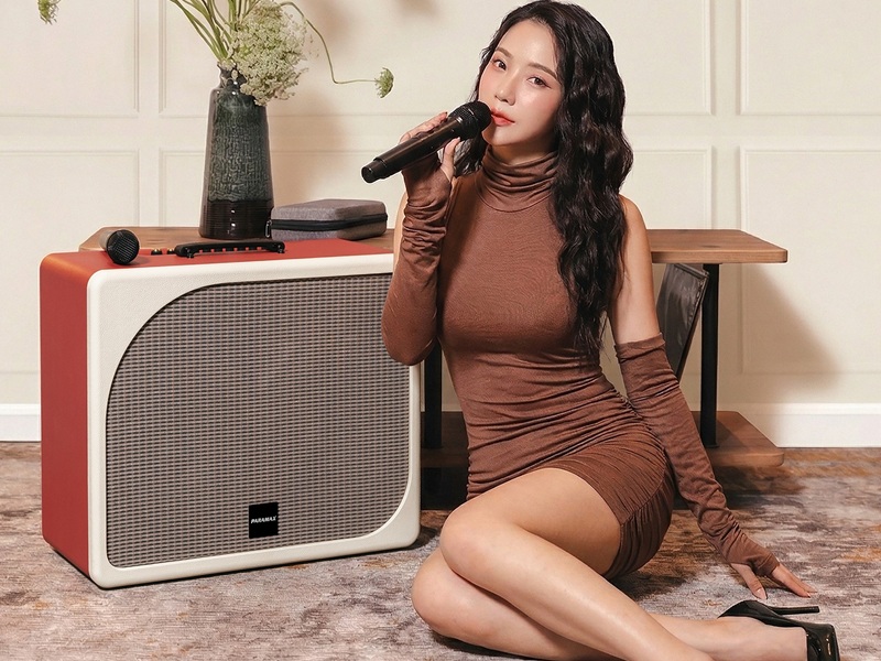 loa di động paramax evox max tặng 2 micro
