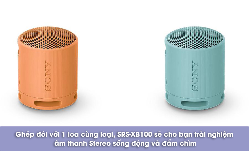 giá của loa bluetooth sony srs xb100