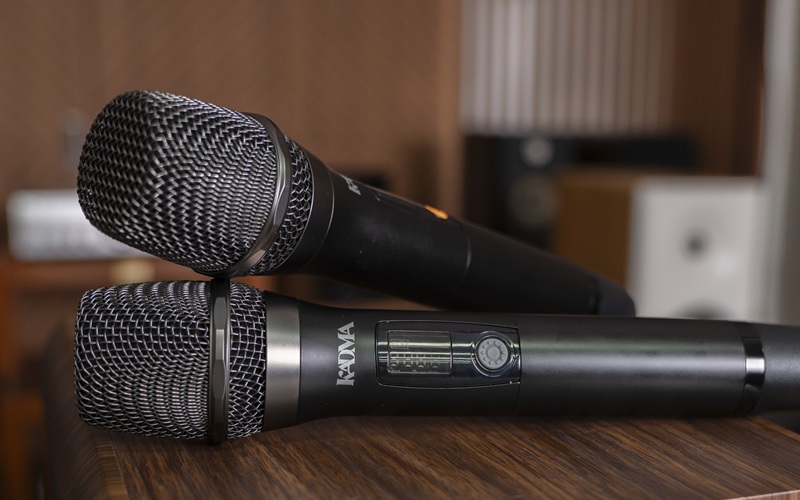 loa kadma ba38 tặng 2 micro không dây