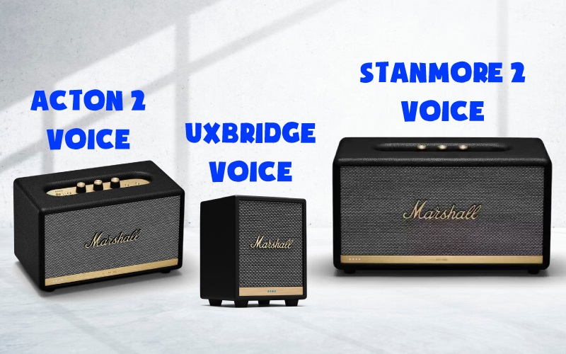 loa marshall cắm điện voice