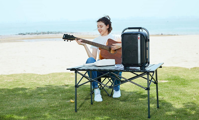 Loa Monster Party Go 20