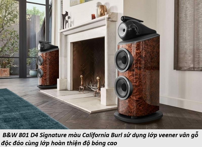 loa nghe nhạc Bowers & Wilkins 801 D4 Signature