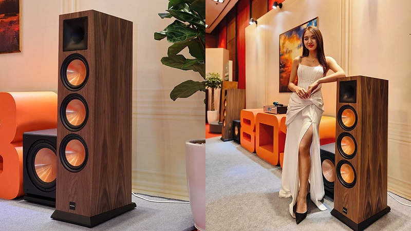 loa paramax euro 803 classic