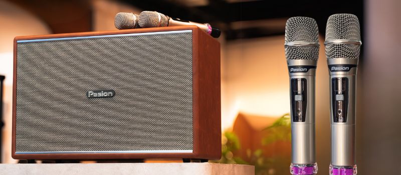 loa paramax paison mozo micro karaoke