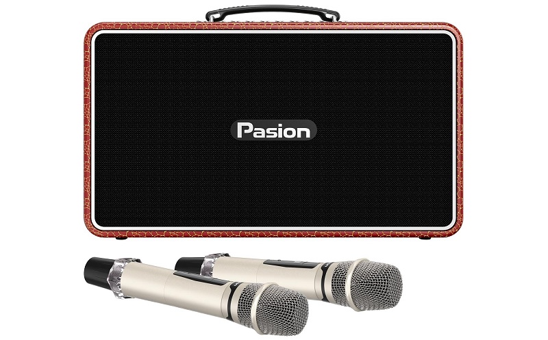 loa paramax pasion arte