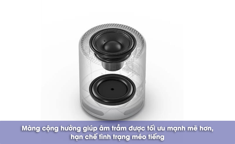 chất âm loa srs xb 100