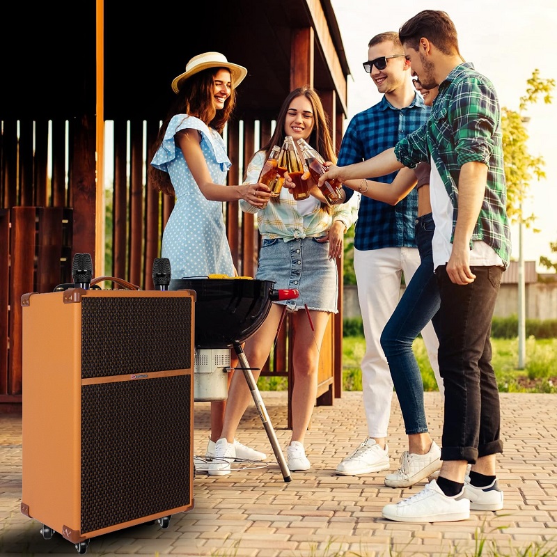 loa sumico touring 12 với hệ thống củ loa cao cấp