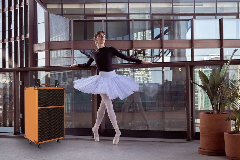 loa sumico touring 12 với thiết kế độc đáo, sang trọng