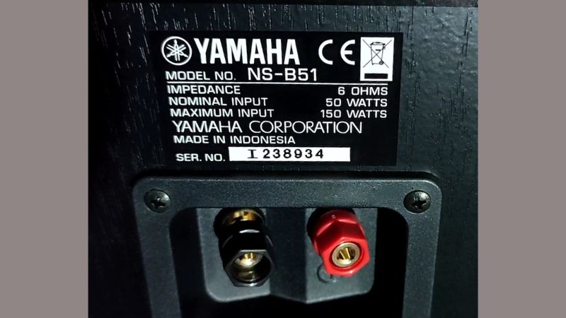 loa yamaha ns p51 kết nối linh hoạt