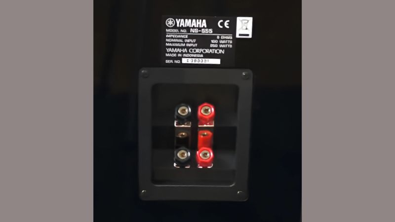 loa yamaha ns555 kết nối đa dạng