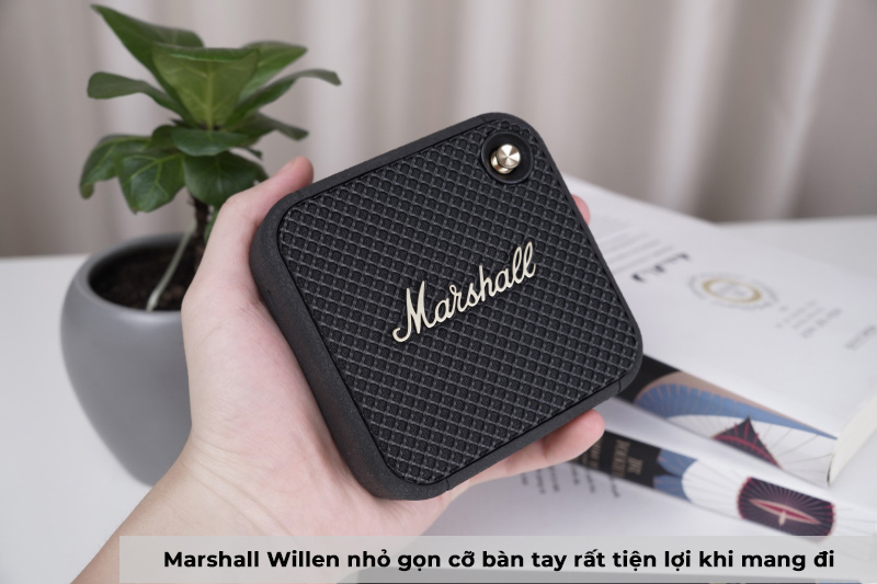 marshall willen kích thước