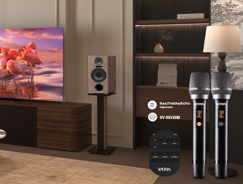 micro đi kèm loa kadma ba38