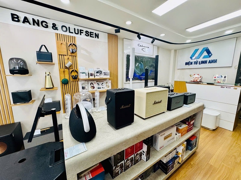 mua loa chính hãng tại linh anh cầu giấy